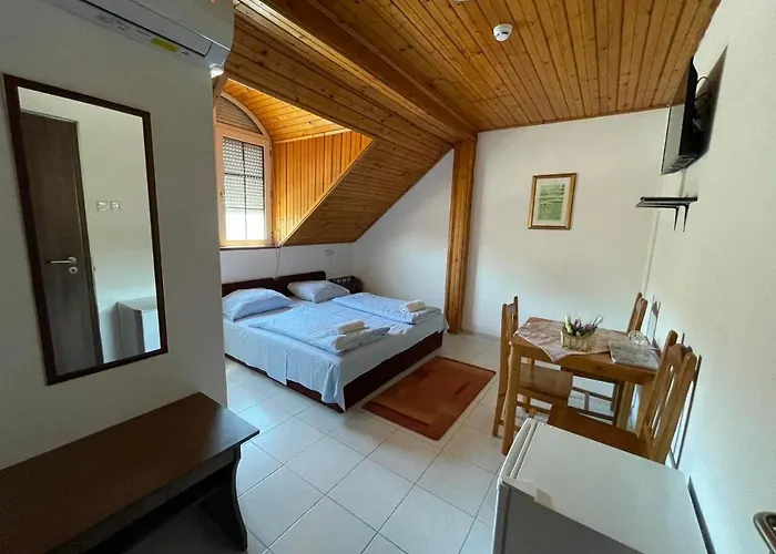 Pensión Lelle Centrum